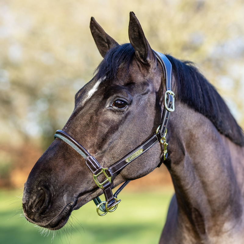 LeMieux Rope Control Headcollar - Brown-1
